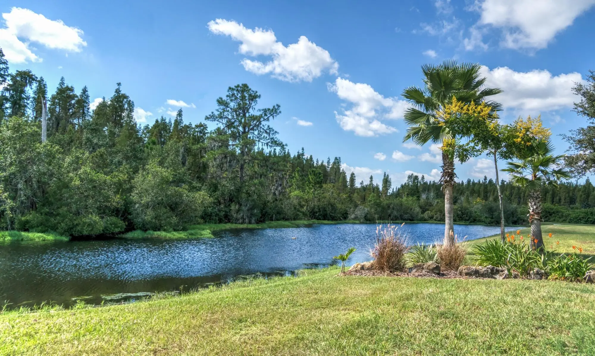 Why Choose Full Service Property Management in Davie, Florida?